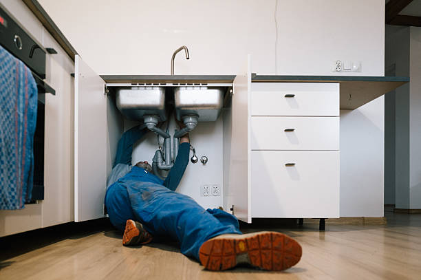 Professional Plumbing technician working in Lafox, IL